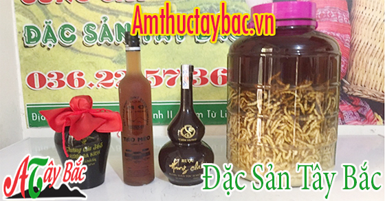 Các Loại Rượu Tây Bắc bạn nên mua làm quà cho dịp năm mới này Các Loại Rượu Tây Bắc bạn nên mua làm quà cho dịp năm mới này