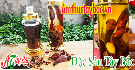Nấm ngọc cẩu thường được dùng để ngâm rượu Nấm ngọc cẩu thường được dùng để ngâm rượu