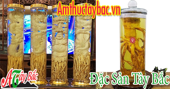 Rượu đinh lăng thường được ngâm lâu năm