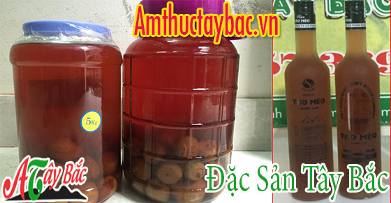 Rượu táo mèo – thức rượu quý của người dân Tây Bắc Rượu táo mèo – thức rượu quý của người dân Tây Bắc