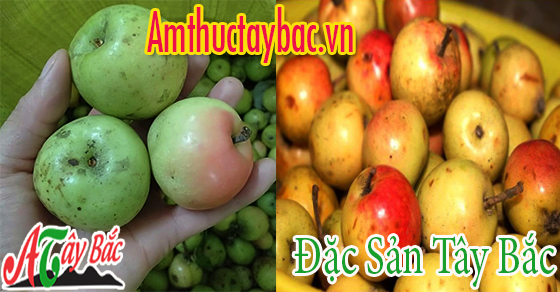 Táo mèo thường có màu xanh và khi chín sẽ có màu rám đỏ Táo mèo thường có màu xanh và khi chín sẽ có màu rám đỏ