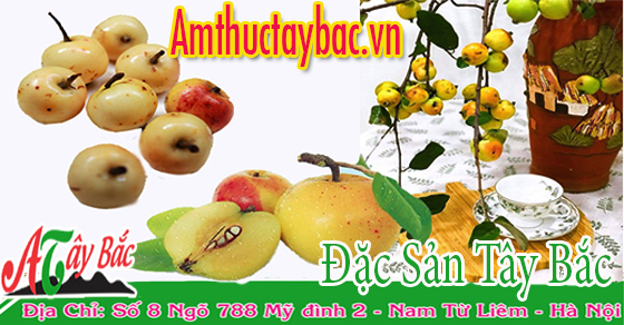 dia chi ban tao meo uy tin tai ha noi