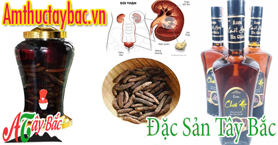 Rượu chuối hột có tác dụng tốt đối với những người bị sỏi thận