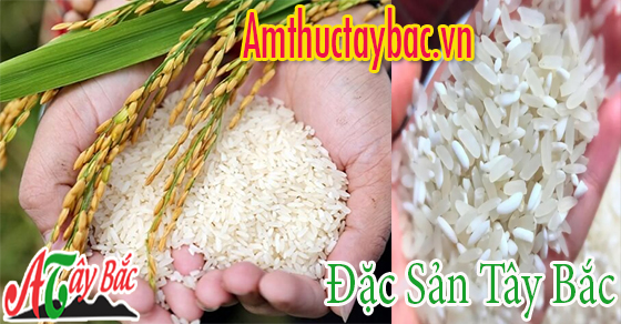 Chọn gạo nếp nương ngon chuẩn của Tây Bắc