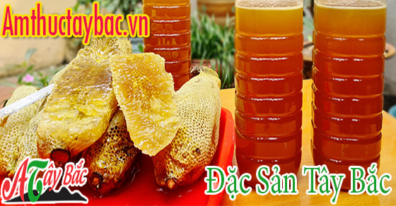 Mật ong rừng chuẩn nguyên chất của Tây Bắc