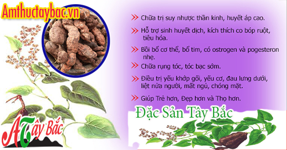 Hà thủ ô có nhiều công dụng, rất tốt cho sức khỏe