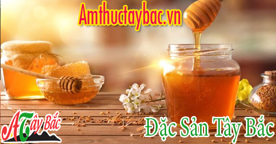 Mật ong rừng có điểm gì khác biệt so với mật ong nuôi