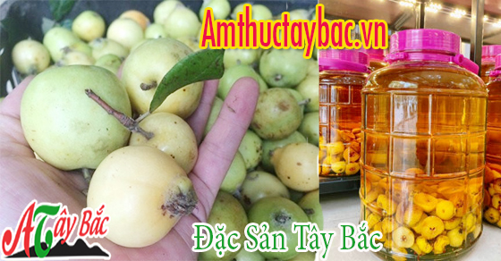 tao meo chinh vu thuong co mot lop phan tu nhien bao boc