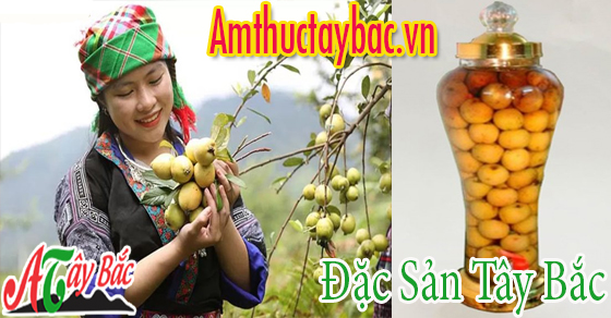 cach ngam ruou tao meo tuoi chuan vi tay bac