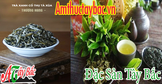Chọn chè Tà Xùa chuẩn Tây Bắc