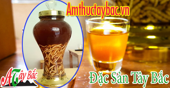 Rượu táo mèo có vị chua nhẹ,rất dễ uống