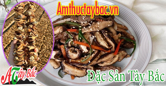 nam huong rung thuong co huong thom dac trung