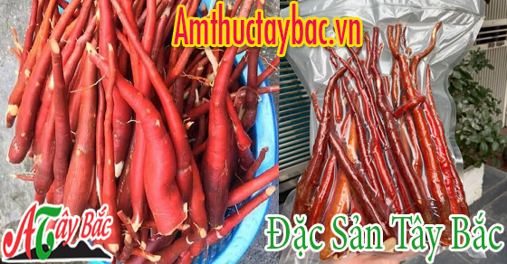 Nên rửa sạch sâm cau tươi để ngâm rượu 